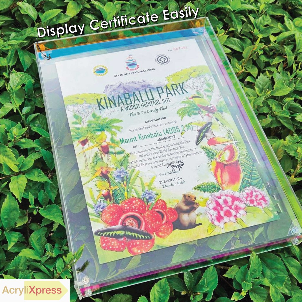 Floating Photo Frame Certificate Artwork Display Glass Frame Customize Gift Minimalist Frame Acrylic